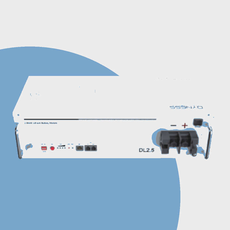 Dyness DL2.5 - 25.6V 100Ah 2.56 kW Litium Ion Battery (DYN-DL2.5)