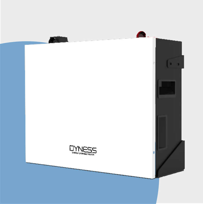 Dyness 5.12kWh Lithium Battery BX51100