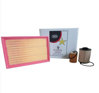 SERVICE KIT GWM P-SERIES 2.0TDI