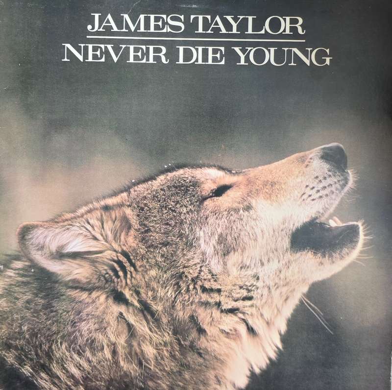 James Taylor   Never Die Young