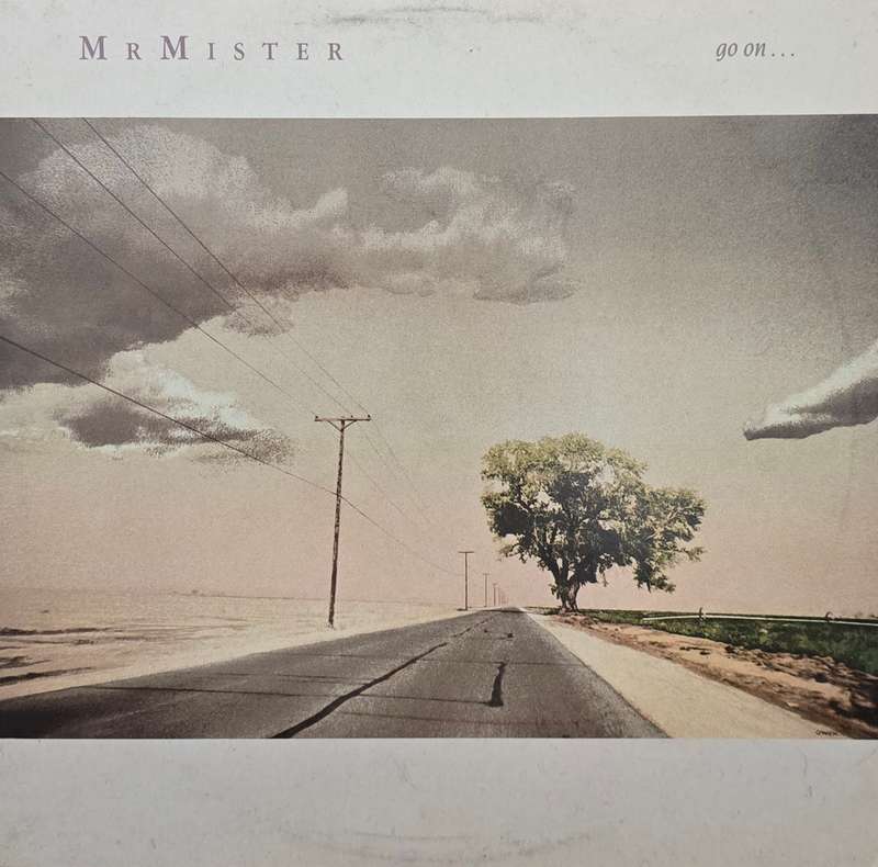 Mr. Mister  Go On...