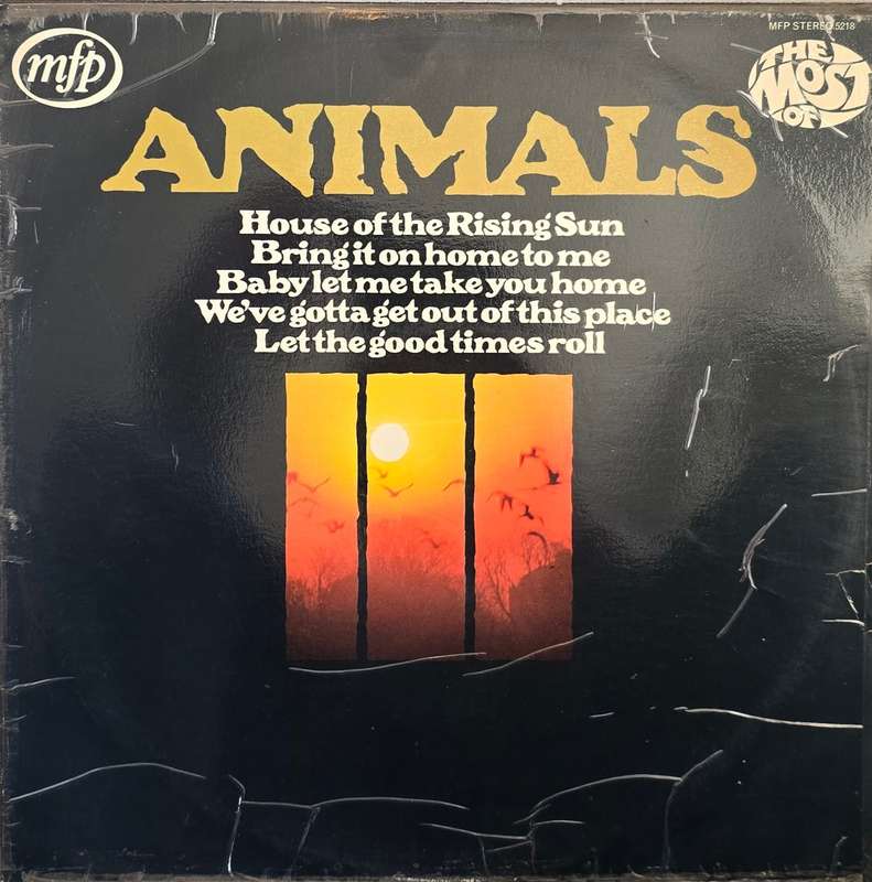 Animals  The Most Of