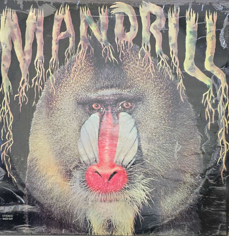 Mandrill  Mandrill