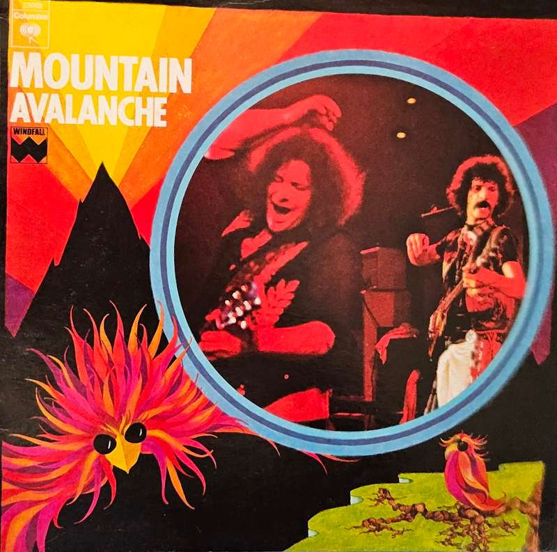 Mountain  Avalanche