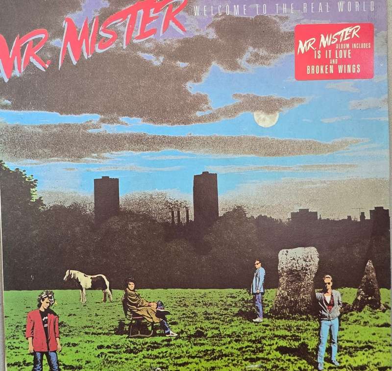 Mr. Mister  Welcome To The Real World