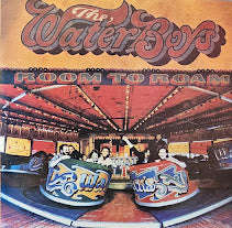 The Waterboys  Room To Roam