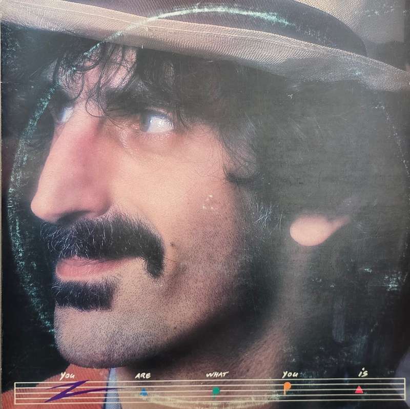 Frank Zappa  You Are What You Is