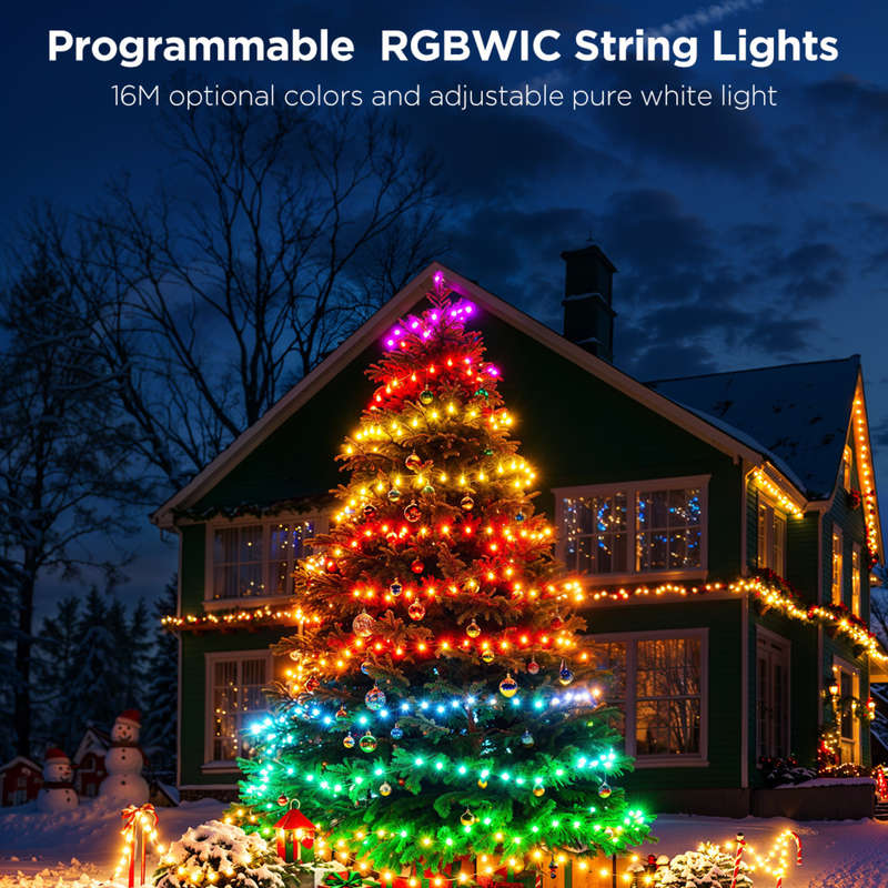Govee String Lights 2S - 20M