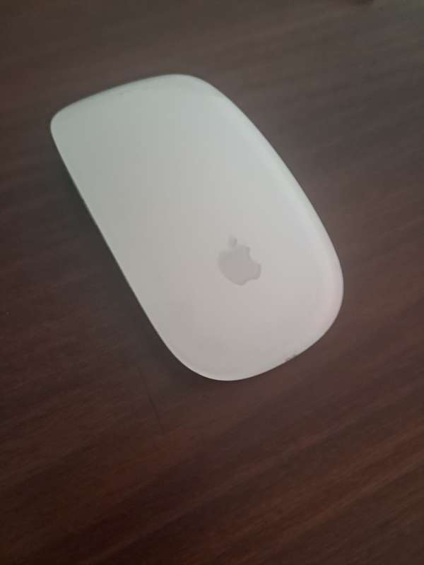 Apple magic mouse