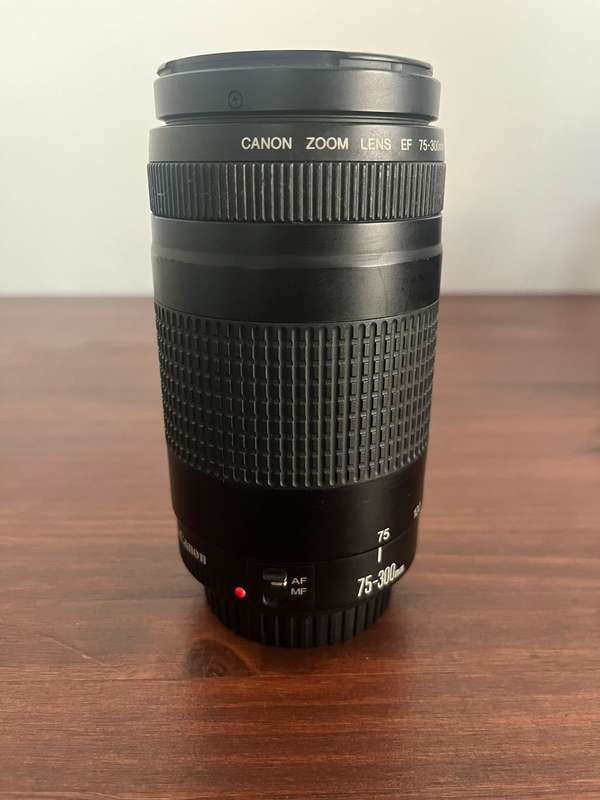 Canon EF 75-300mm Lens