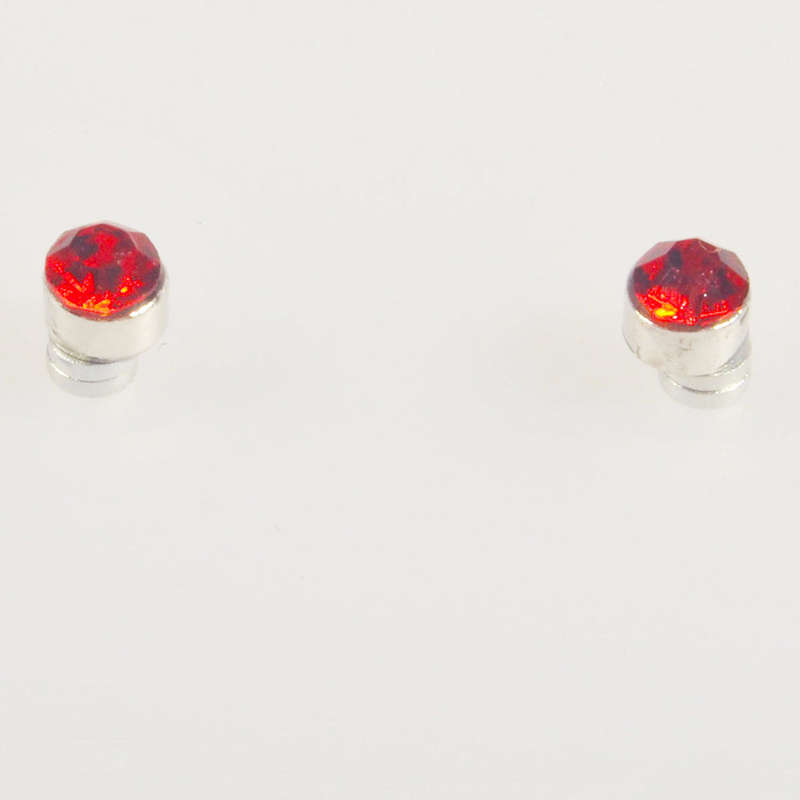 Magnetic Earrings