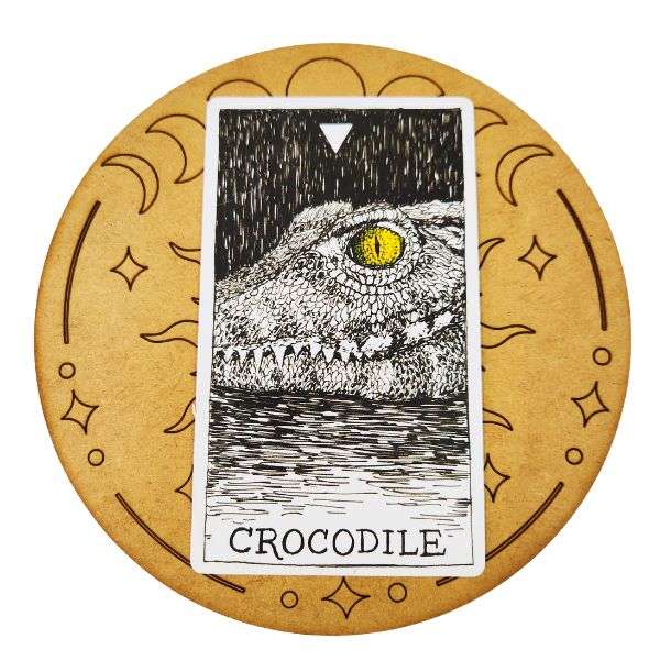 Moon Phase Card Of The Day Board