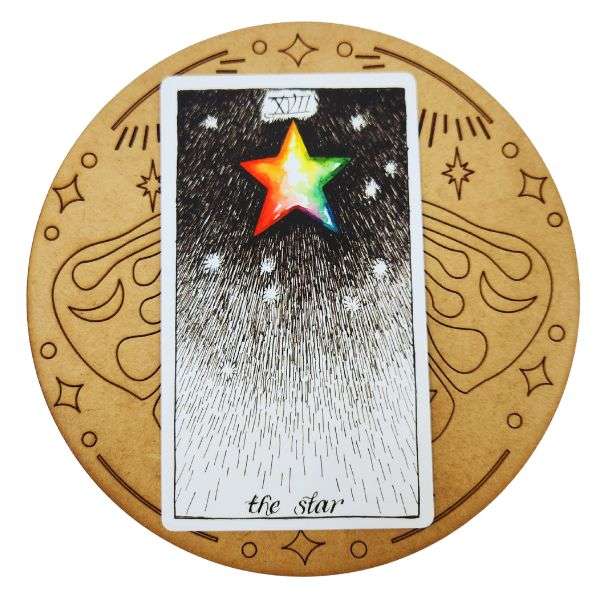 Moth Card Of The Day Board
