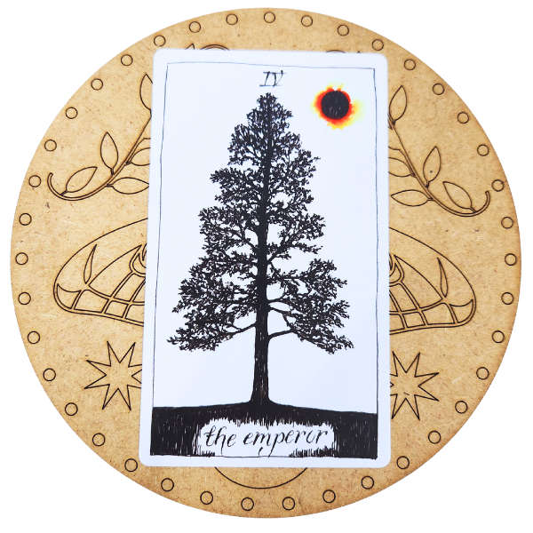 Moth & Moon Tarot Card of the Day Board