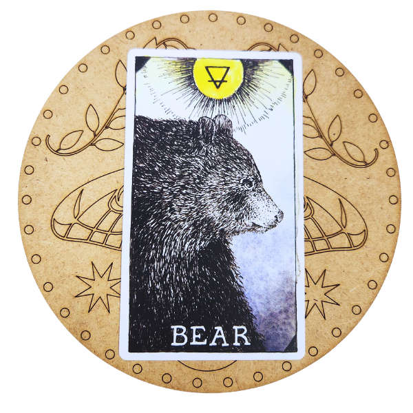 Moth & Moon Tarot Card of the Day Board