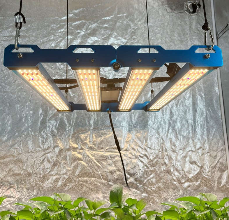 Kingbrite P55 240W Quantum Bar Grow Light