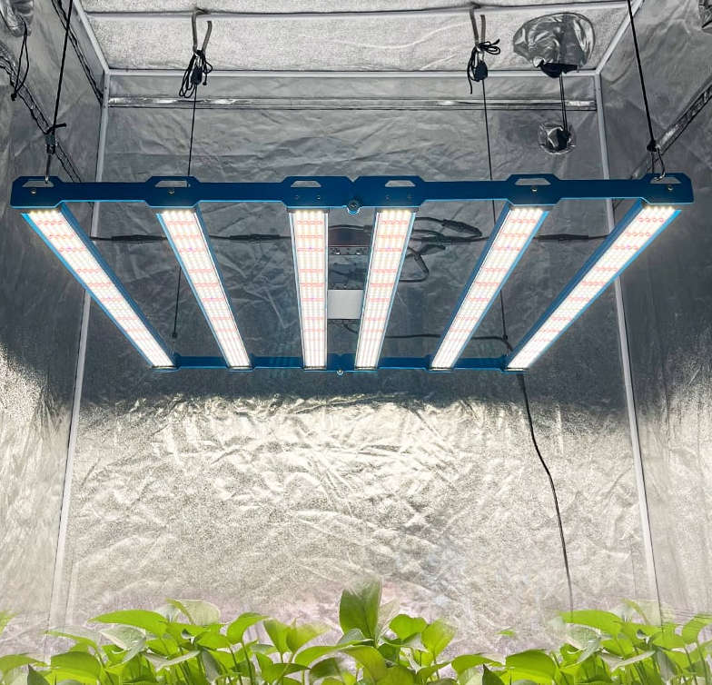 Kingbrite P55 480W Quantum Bar Grow Light with UV+IR
