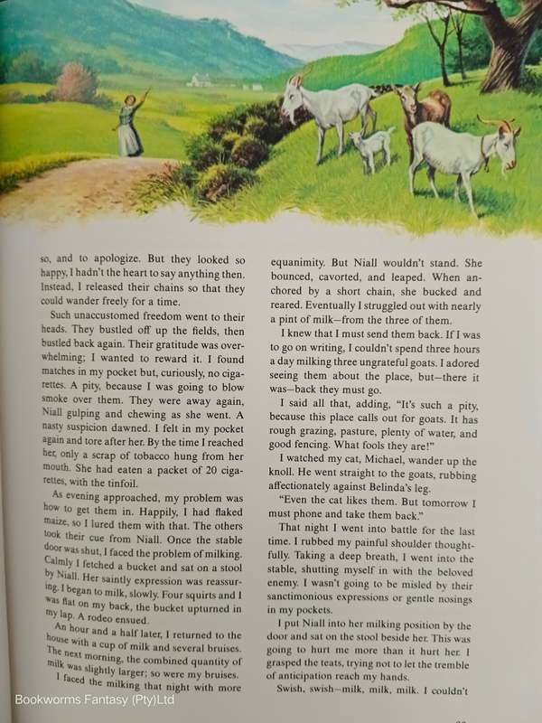 Animals Can Be Almost Human by Alma E. Guinness (Editor)