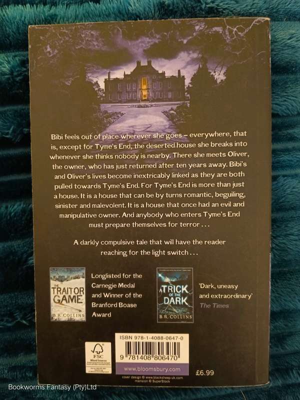 Tyme's End by B.R. Collins