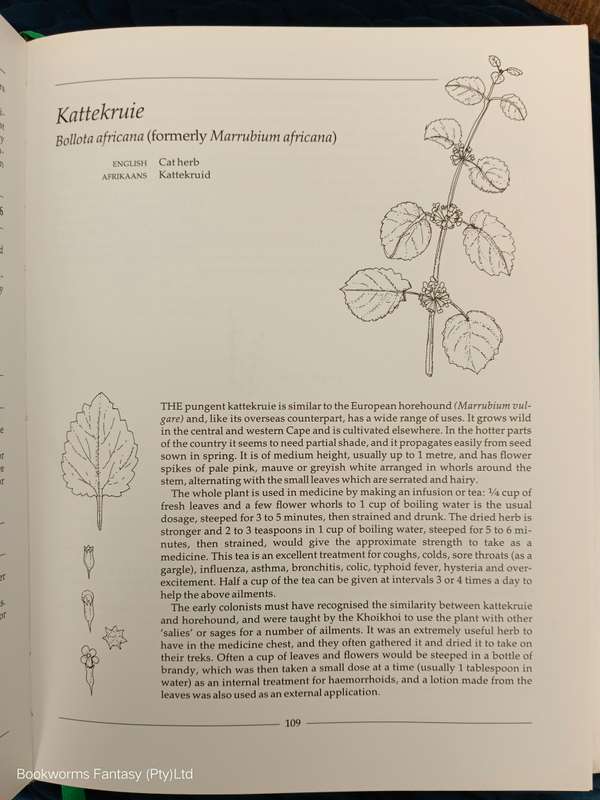 Indigenous Healing Plants by Margaret Roberts
