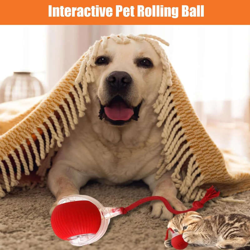 Rechargeable Interactive Cat Ball Toy, Dog Ball Toy, Smart Rolling Pet Ball