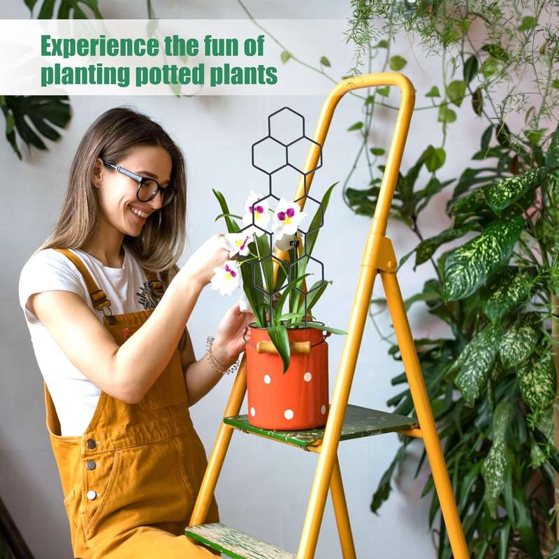 2 Pack Small Garden Trellis for Potted, Climbing & Flower Plants