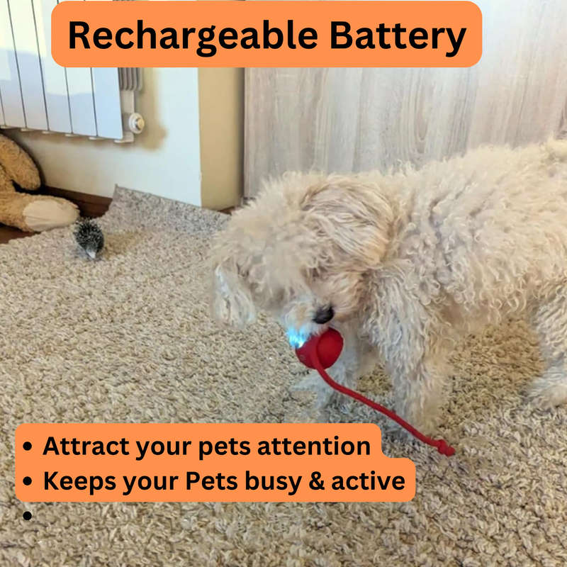 Rechargeable Interactive Cat Ball Toy, Dog Ball Toy, Smart Rolling Pet Ball