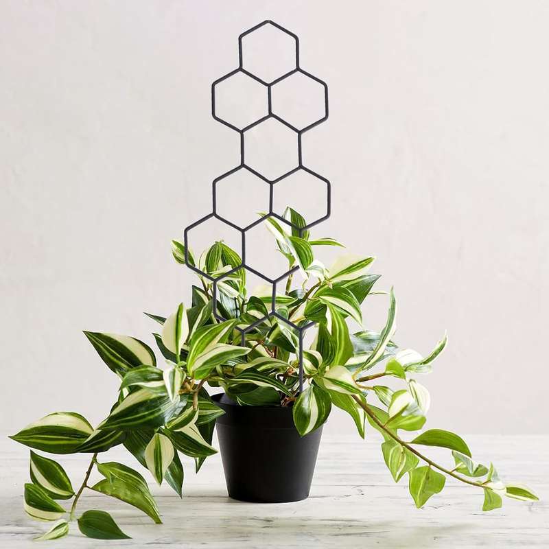 2 Pack Small Garden Trellis for Potted, Climbing & Flower Plants