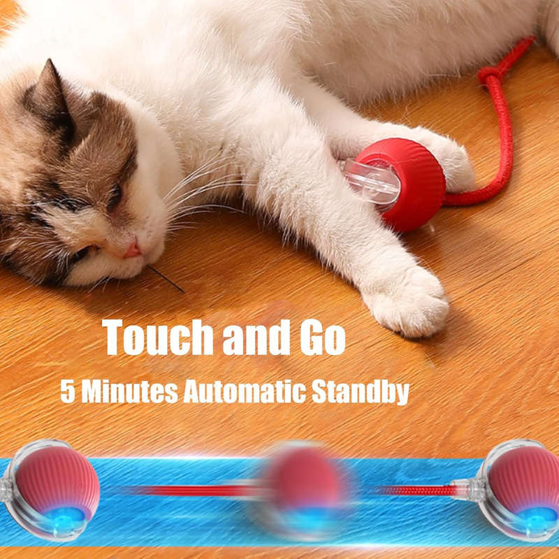 Rechargeable Interactive Cat Ball Toy, Dog Ball Toy, Smart Rolling Pet Ball