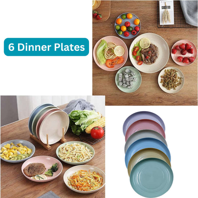 14 Pack Ramen Noodle Bowl & Plates Set, Instant Microwave Bowl, Portable