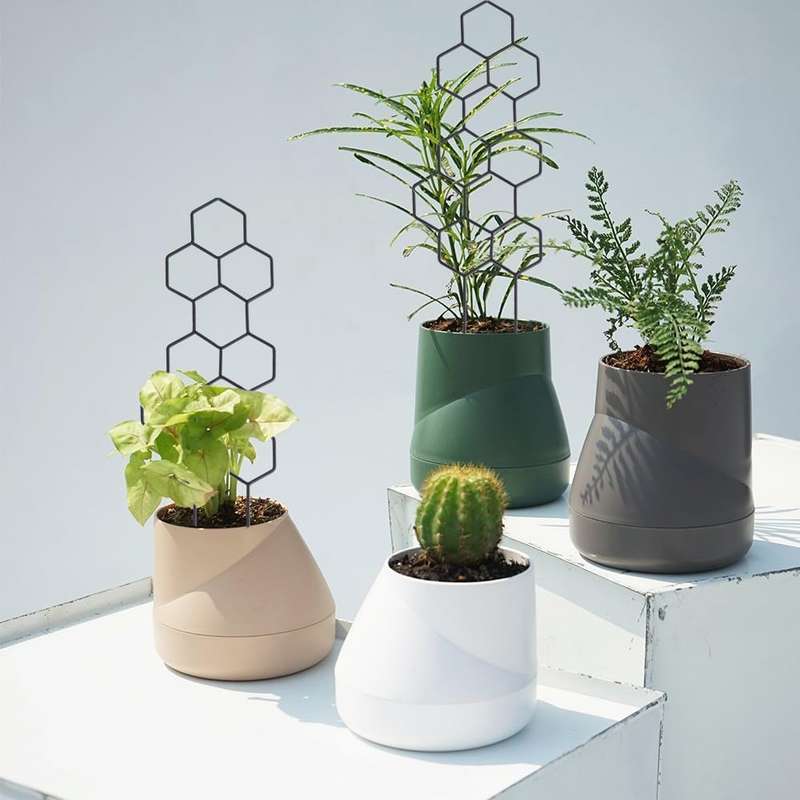 2 Pack Small Garden Trellis for Potted, Climbing & Flower Plants