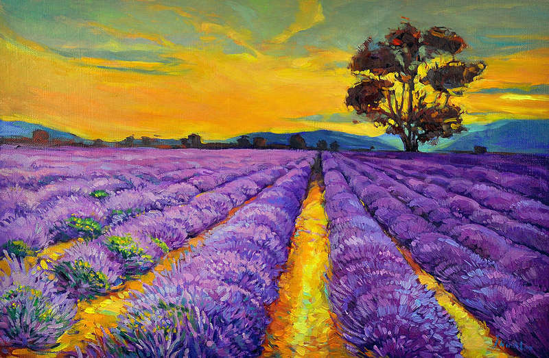 Paint By numbers for Adult - Lavender