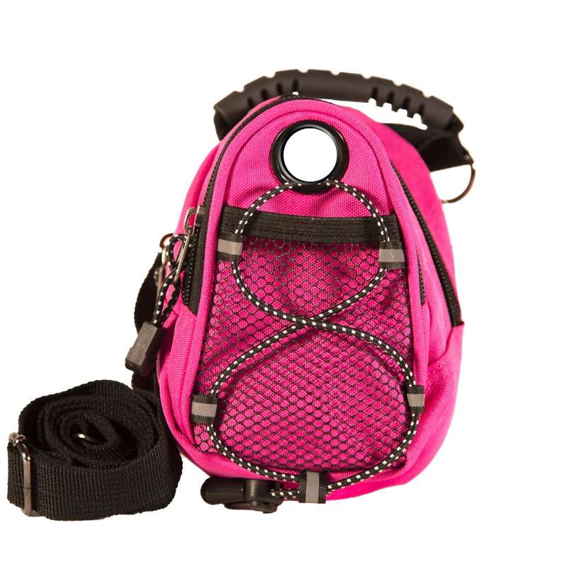 Mini day pack Pink