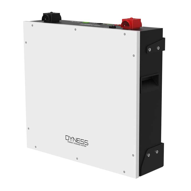 Dyness DL5.0C battery 5.12kWh