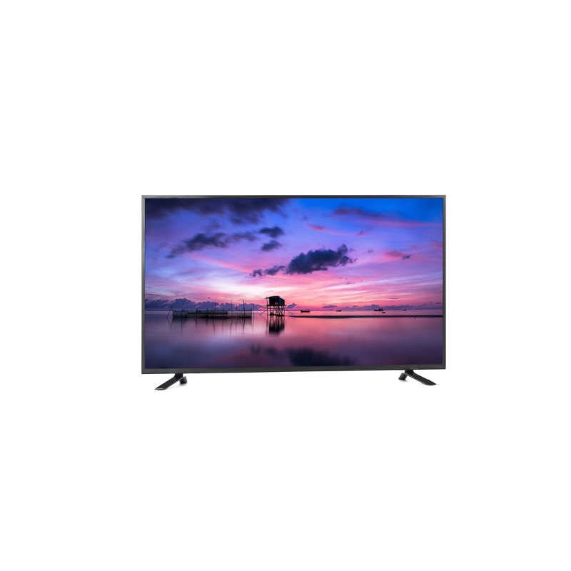 Ecco 55-Inch 4K UHD LED WebOS Smart TV (Model  LH55S)