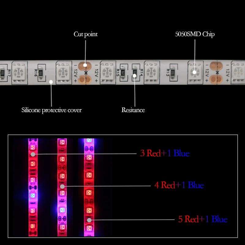 5m 300 LEDs SMD 5050 Full Spectrum LED Strip Light Fitolampy Grow Lights for Greenhouse Hydroponi...