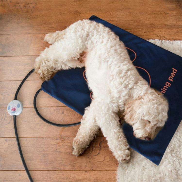 Pet Heating Pad Waterproof and Anti-Scratch Electric Blanket, Size: 60x45cm, Specification: US Plug