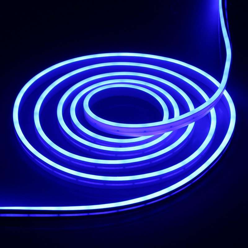 CJ-1206 12V 6A 5m IP65 Waterproof Silicone Neon LED Strip Light(Blue)