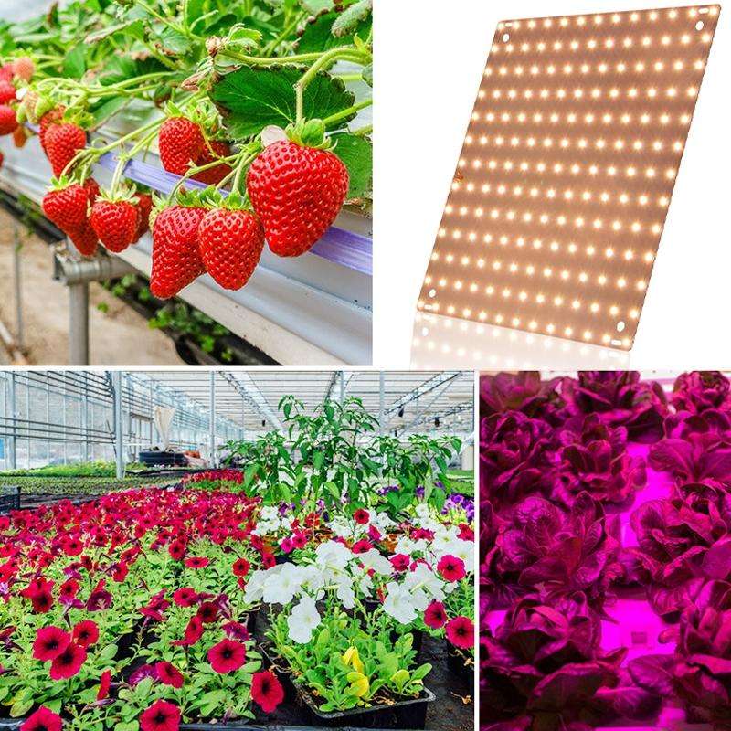 LED Plant Growth Light Indoor Quantum Board Plant Fill Light, Style: D2 45W 169 Beads AU Plug (Pi...