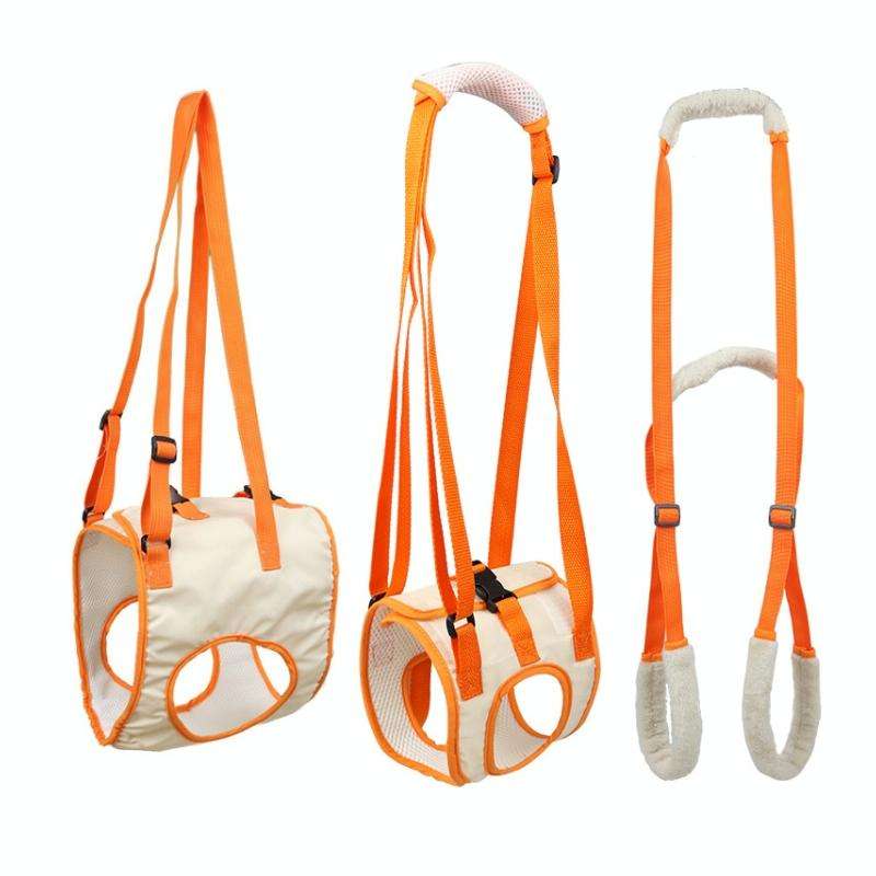 Pet Leash Assistive Belt For Postoperative Disabled Elderly Dogs Hind Legs XL
