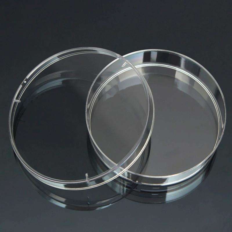 10 PCS Polystyrene Sterile Petri Dishes Bacteria Dish Laboratory Biological Scientific Lab Suppli...
