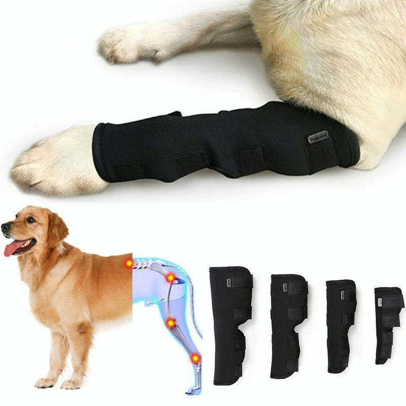 DogLemi PD60041 Dog Hock Brace Pet Supportive Rear Dog Compression Leg Joint Wrap Protects Wounds...