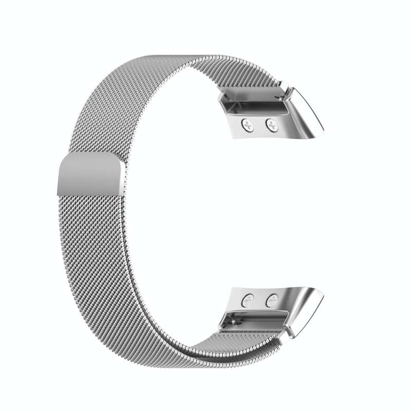 For Garmin Forerunner 45 / 45S / Swim 2 Milanese Watch Band(Silver)