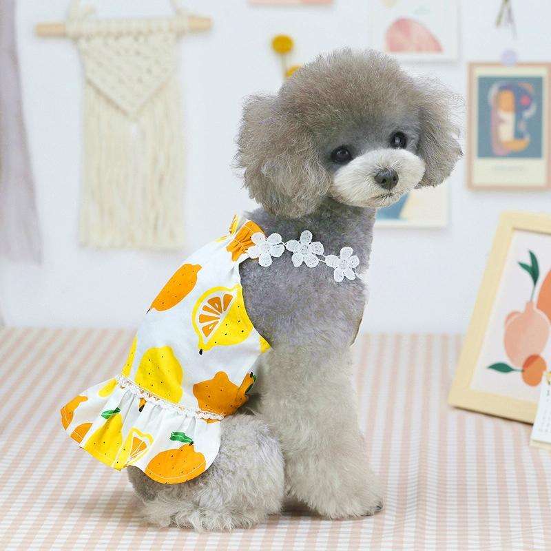 Pet Clothing Dog Cat Dress Lemon Skirt, Size: L(White)
