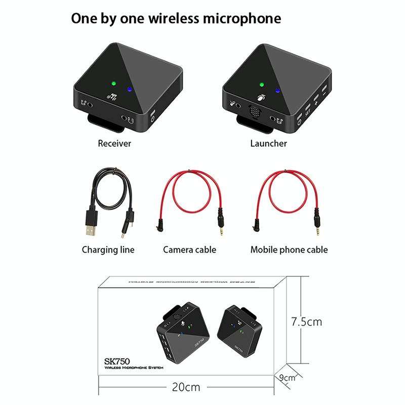 SK750 Type-C Charging One for One Wireless Lavalier Mini Microphone(Black)