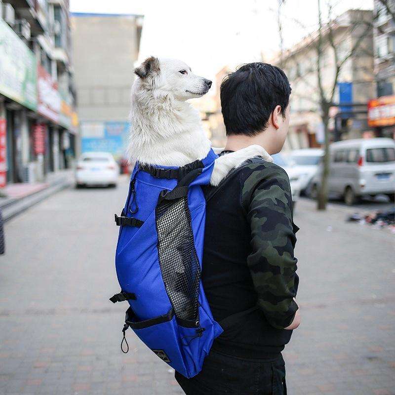 Ventilated And Breathable Washable Pet Portable Backpack, Size: L(Blue)