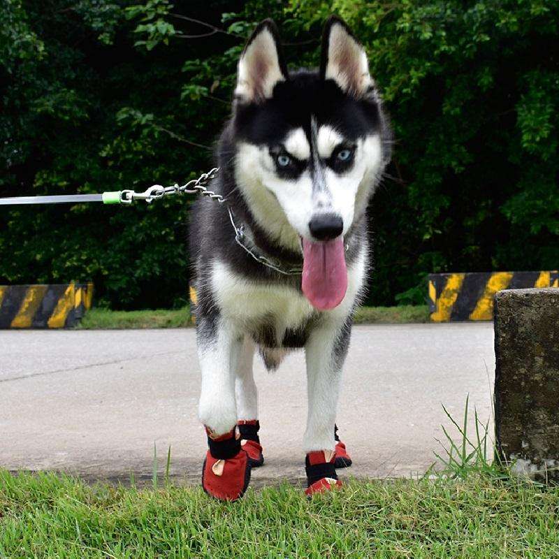 HCPET Non-Slip Wear-Resistant Pet Shoes Four Seasons Breathable Dog Shoes, Size: 1(Black)