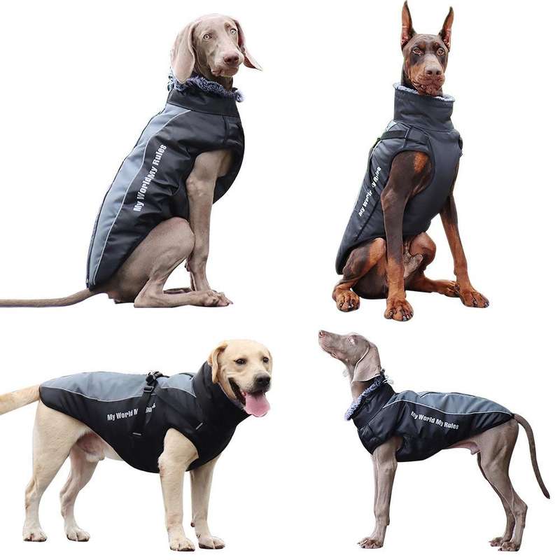 BL-683 Keep Warm Reflective Dog Clothes, Size: XXXL(Sky Blue)