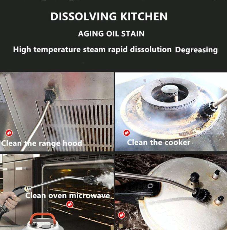 Steam Cleaner High Temperature Sterilization Cleaning Machine with 1L Water Tank 220V AU Plug(White)