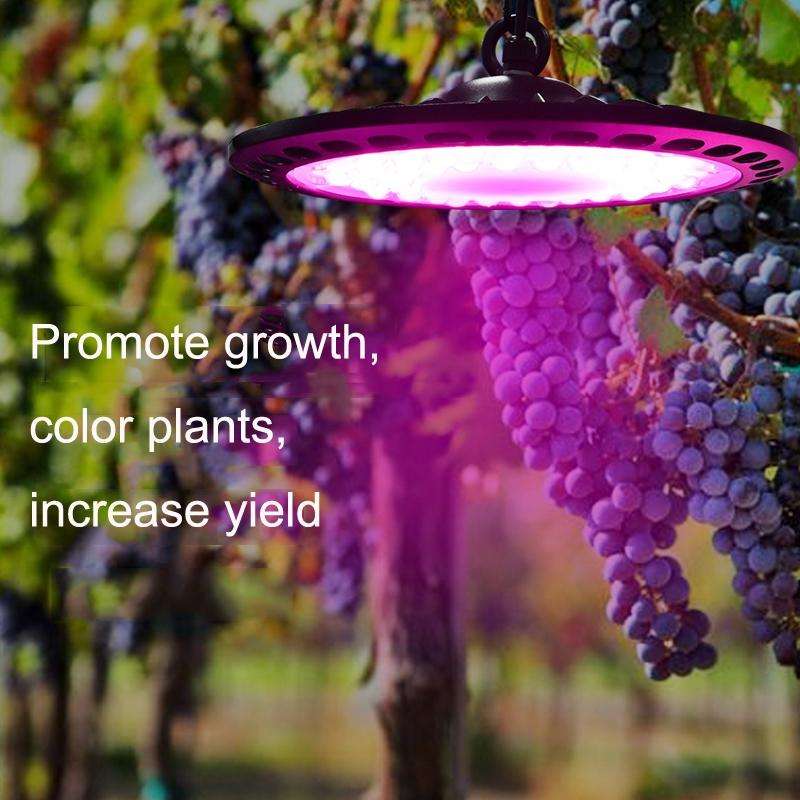 XYG-UFO High-Power Plant Growth 144LED Light, EU Plug, Power: 200W
